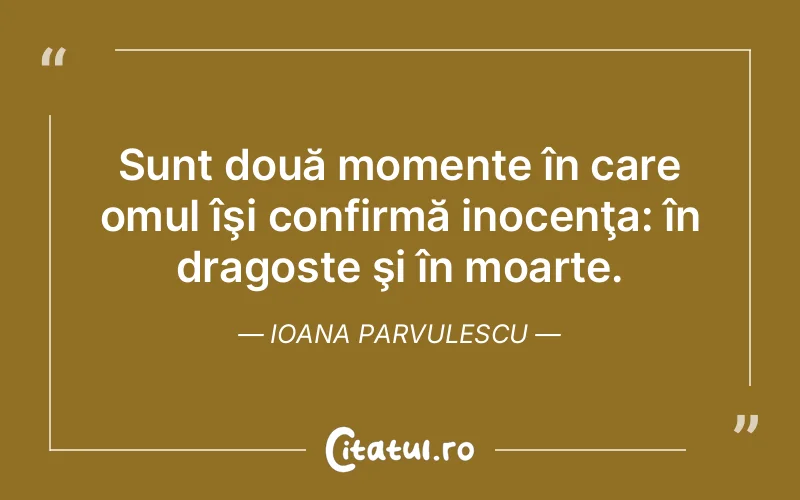 Citat Ioana Parvulescu - citate dragoste
