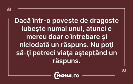 Dacă într-o poveste de dragoste iubeş...