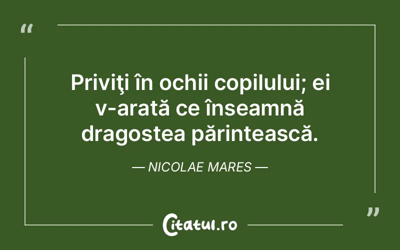Citat Nicolae Mares - citate dragoste