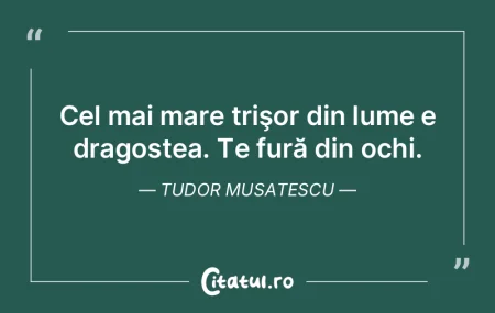Cel mai mare trişor din lume e dragoste...