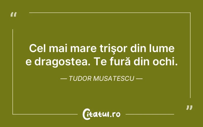 Citat Tudor Musatescu - citate dragoste