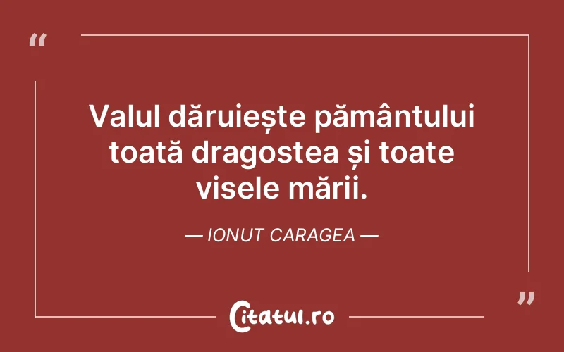Citat Ionut Caragea - citate dragoste