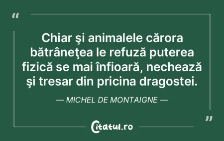 Chiar şi animalele cărora bătrâneţe... Chiar şi animalele cărora bătrâneţe...