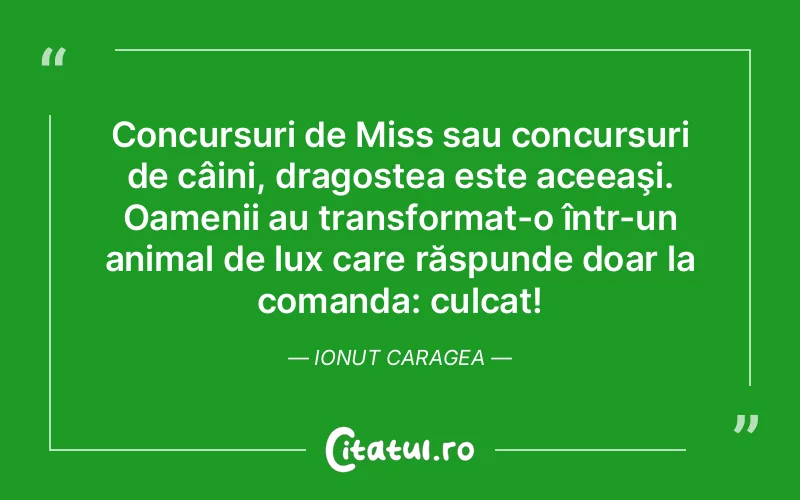 Citat Ionut Caragea - citate dragoste