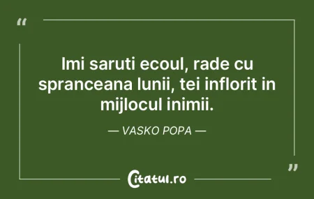 Imi saruti ecoul, rade cu spranceana lun... Imi saruti ecoul, rade cu spranceana lun...