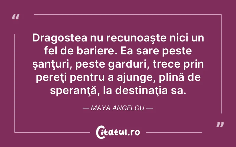 Citat Maya Angelou - citate dragoste