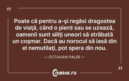 Poate că pentru a-şi regăsi dragostea...