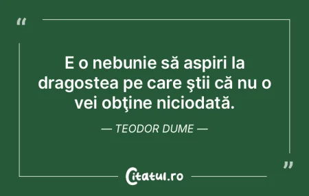 E o nebunie să aspiri la dragostea pe c... E o nebunie să aspiri la dragostea pe c...