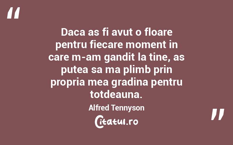 Daca as fi avut o floare pentru fiecare moment in care m-am gandit la tine, as putea sa ma plimb prin propria mea gradina pentru totdeauna. Alfred Tennyson