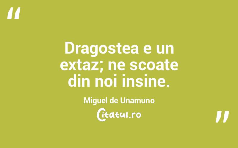 Dragostea e un extaz; ne scoate din noi insine. Miguel de Unamuno