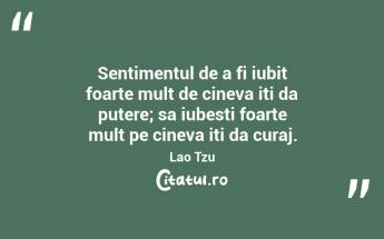 Sentimentul de a fi iubit foarte mult de cineva iti da putere; sa iubesti foarte mult pe cineva iti da curaj. Lao Tzu...