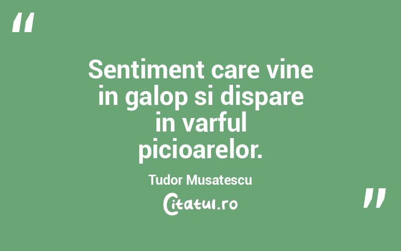 Sentiment care vine in galop si dispare in varful picioarelor. Tudor Musatescu