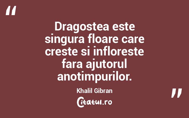 Dragostea este singura floare care creste si infloreste fara ajutorul anotimpurilor. Khalil Gibran