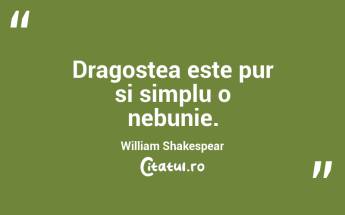 Dragostea este pur si simplu o nebunie. William Shakespear...