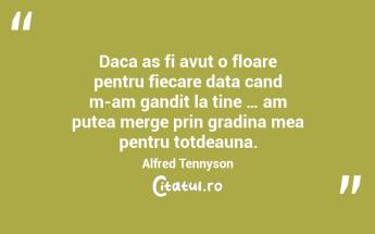 Daca as fi avut o floare pentru fiecare data cand m-am gandit la tine … am putea merge prin gradina mea pentru totdeauna. Alfred Tennyson...