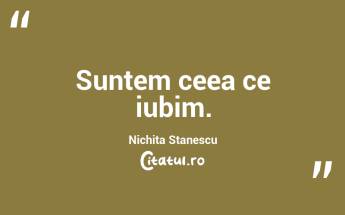 Suntem ceea ce iubim. Nichita Stanescu...