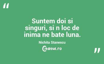 Suntem doi si singuri, si n loc de inima ne bate luna. Nichita Stanescu...