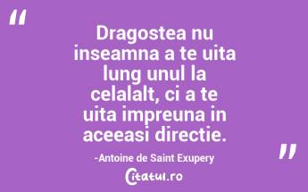 Dragostea nu inseamna a te uita lung unul la celalalt, ci a te uita impreuna in aceeasi directie.-Antoine de Saint Exupery...