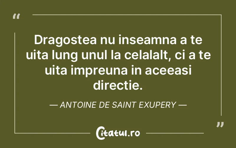 Dragostea nu inseamna a te uita lung unul la celalalt, ci a te uita impreuna in aceeasi directie. Antoine de Saint Exupery