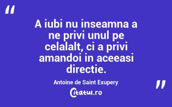 A iubi nu inseamna a ne privi unul pe celalalt, ci a privi amandoi in aceeasi directie. Antoine de Saint Exupery...