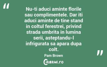 Nu-ti aduci aminte florile sau complimentele. Dar iti aduci aminte de tine stand in coltul ferestrei, privind strada umbrita in lumina serii, asteptandu-l infrigurata sa apara dupa colt. Pam Brown...