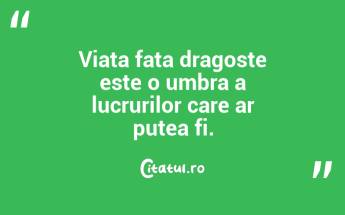 Viata fata dragoste este o umbra a lucrurilor care ar putea fi. ...