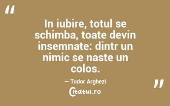 In iubire, totul se schimba, toate devin insemnate: dintr un nimic se naste un colos. — Tudor Arghezi...