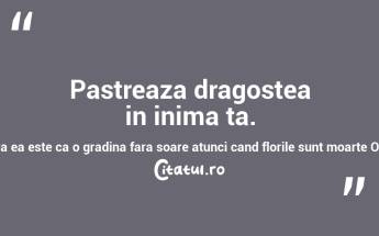 Pastreaza dragostea in inima ta. O viata fara ea este ca o gradina fara soare atunci cand florile sunt moarte Oscar Wilde...