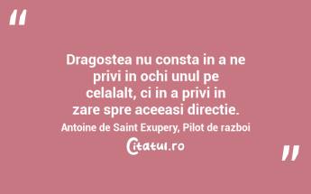 Dragostea nu consta in a ne privi in ochi unul pe celalalt, ci in a privi in zare spre aceeasi directie. Antoine de Saint Exupery, Pilot de razboi...