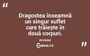 Dragostea înseamnă un singur suflet care trăiește în două corpuri. Aristotel...