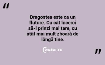 Dragostea este ca un fluture. Cu cât încerci să-l prinzi mai tare, cu atât mai mult zboară de lângă tine. ...