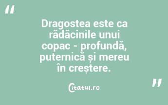 Dragostea este ca rădăcinile unui copac - profundă, puternică și mereu în creștere....