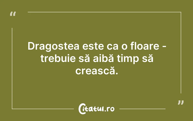 Dragostea este ca o floare - trebuie să aibă timp să crească.