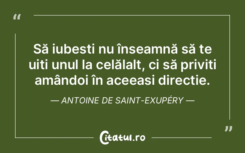 Să iubești nu înseamnă să te uiți unul la celălalt, ci să priviți amândoi în aceeași direcție. Antoine de Saint-Exupéry