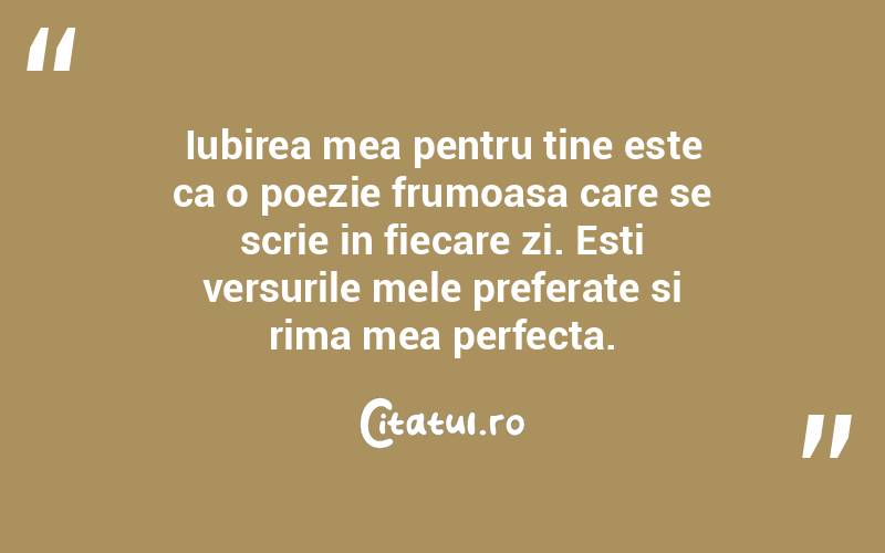 Iubirea mea pentru tine este ca o poezie frumoasa care se scrie in fiecare zi. Esti versurile mele preferate si rima mea perfecta.