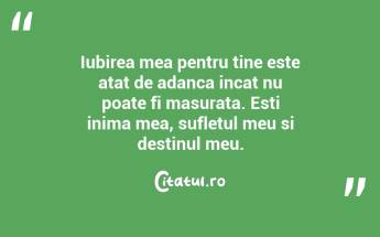 Iubirea mea pentru tine este atat de adanca incat nu poate fi masurata. Esti inima mea, sufletul meu si destinul meu....