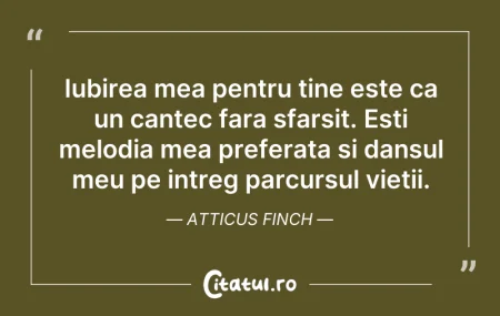 Iubirea mea pentru tine este ca un cante...