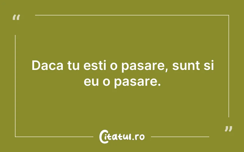 Daca tu esti o pasare, sunt si eu o pasare.