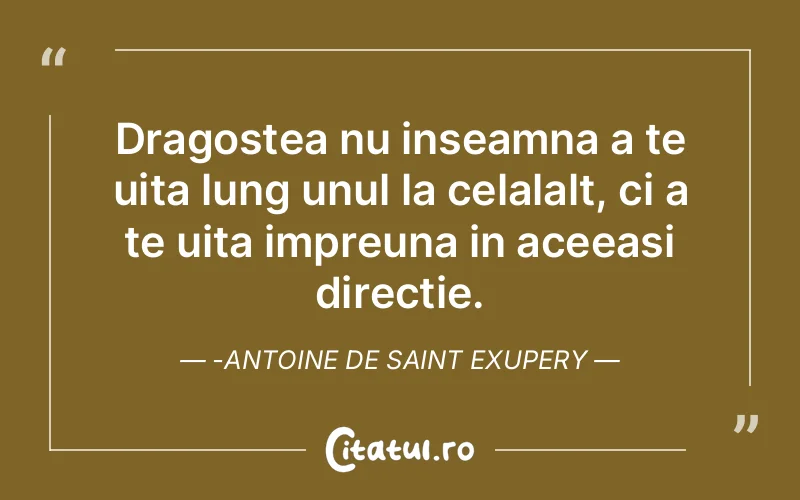 Dragostea nu inseamna a te uita lung unul la celalalt, ci a te uita impreuna in aceeasi directie.-Antoine de Saint Exupery