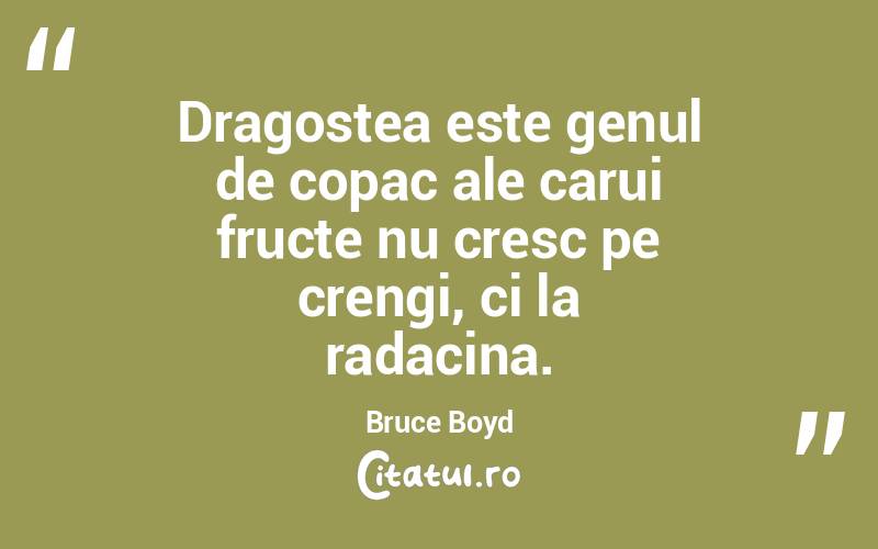 Dragostea este genul de copac ale carui fructe nu cresc pe crengi, ci la radacina. Bruce Boyd