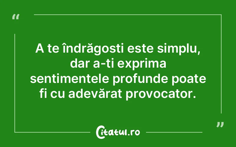 A te îndrăgosti este simplu, dar a-ți exprima sentimentele profunde poate fi cu adevărat provocator.