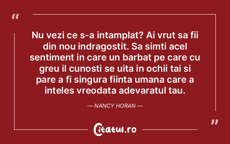 Nu vezi ce s-a intamplat? Ai vrut sa fii din nou indragostit. Sa simti acel sentiment in care un barbat pe care cu greu il cunosti se uita in ochii tai si pare a fi singura fiinta umana care a inteles vreodata adevaratul tau. Nancy Horan