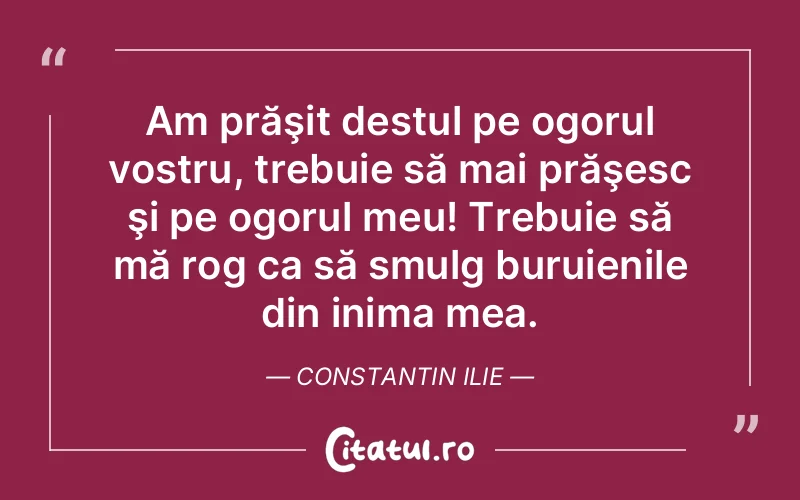 Am prăşit destul pe ogorul vostru, trebuie să mai prăşesc şi pe ogorul meu! Trebuie să mă rog ca să smulg buruienile din inima mea. Constantin Ilie