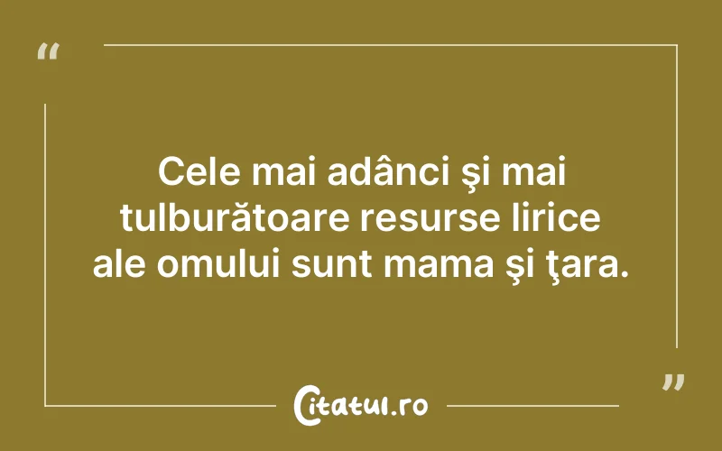 Citat Autor necunoscut - citate familie