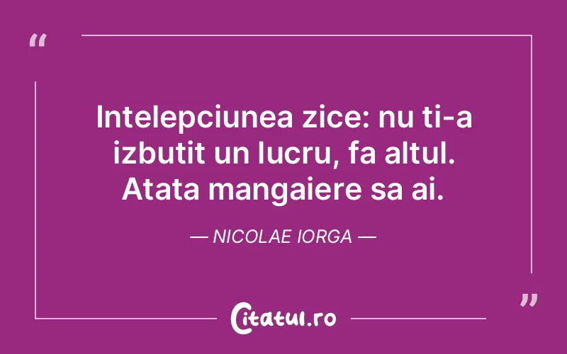 Citat Nicolae Iorga - citate familie