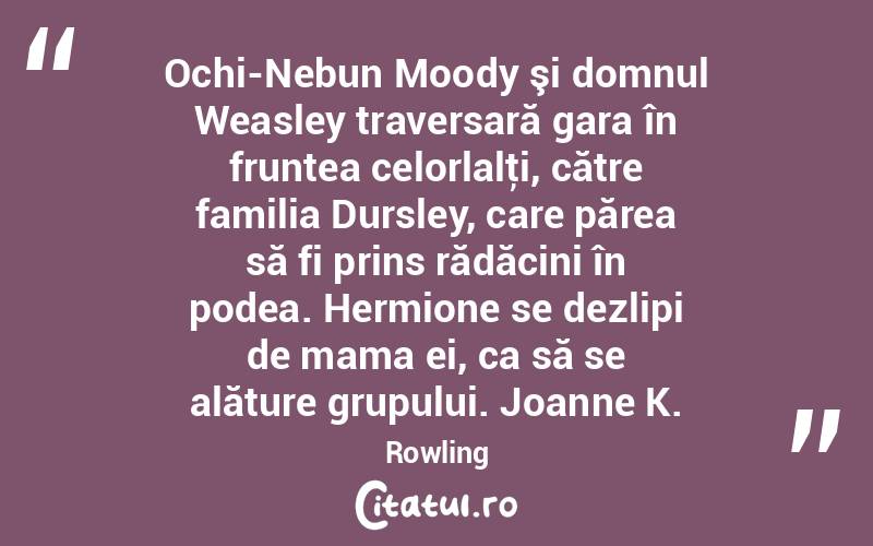 Ochi-Nebun Moody şi domnul Weasley traversară gara în fruntea celorlalţi, către familia Dursley, care părea să fi prins rădăcini în podea. Hermione se dezlipi de mama ei, ca să se alăture grupului. Joanne K. Rowling
