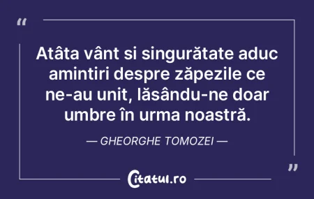 Atâta vânt și singurătate aduc amint...
