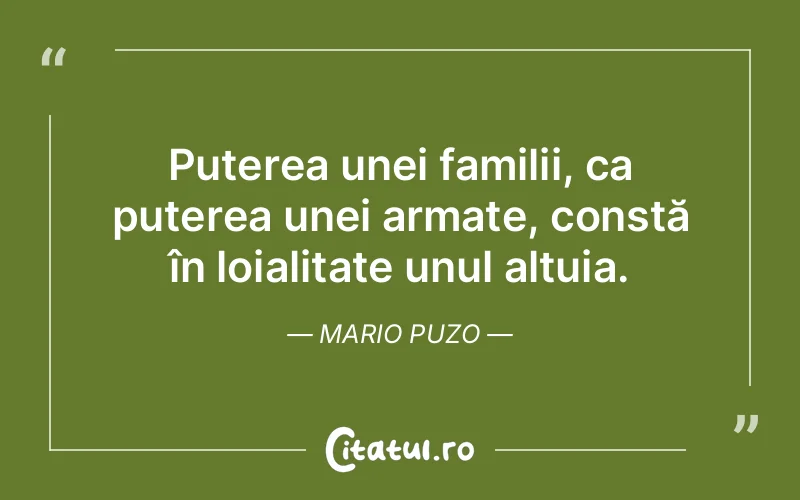 Citat Mario Puzo - citate familie