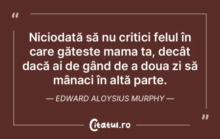 Niciodată să nu critici felul în care...