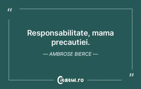 Responsabilitate, mama precautiei. Ambro...